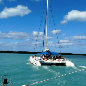 Seafari crucero del sol